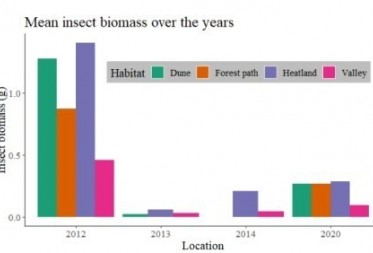 Bosland´s Pijnven als casestudy voor insecten biodiversiteit en biomassa metingen