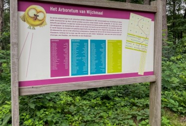 Op verkenning in het Arboretum van Wijchmaal (Peer)