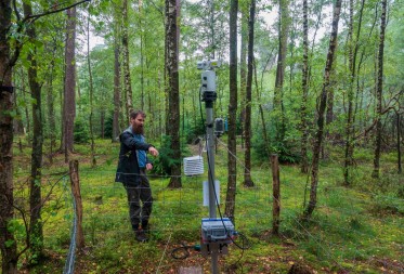 Bossen als klimaatschild