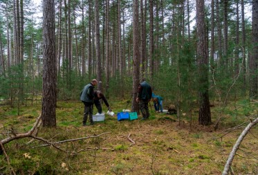 INBO-onderzoek werpt licht op de bodemgezondheid in het Pijnven-bos.